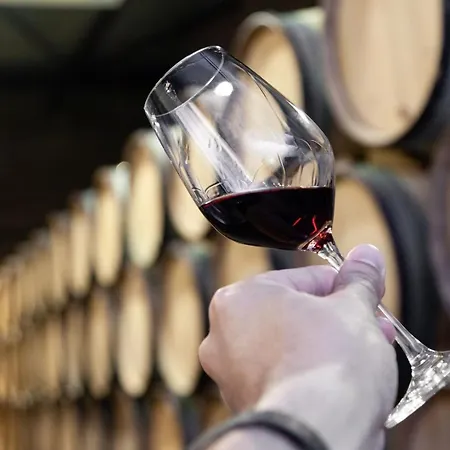 Sol Downtown * Oporto